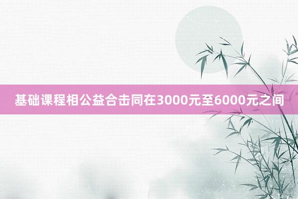 基础课程相﻿公益合击同在3000元至6000元之间