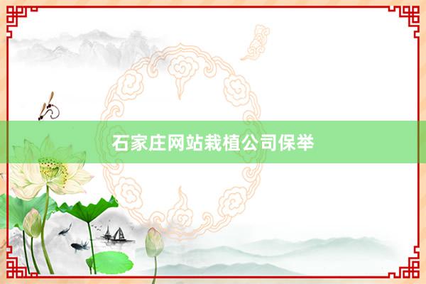 石家庄网站栽植公司保举