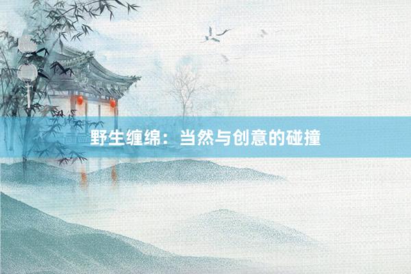 野生缠绵:当然与创意的碰撞